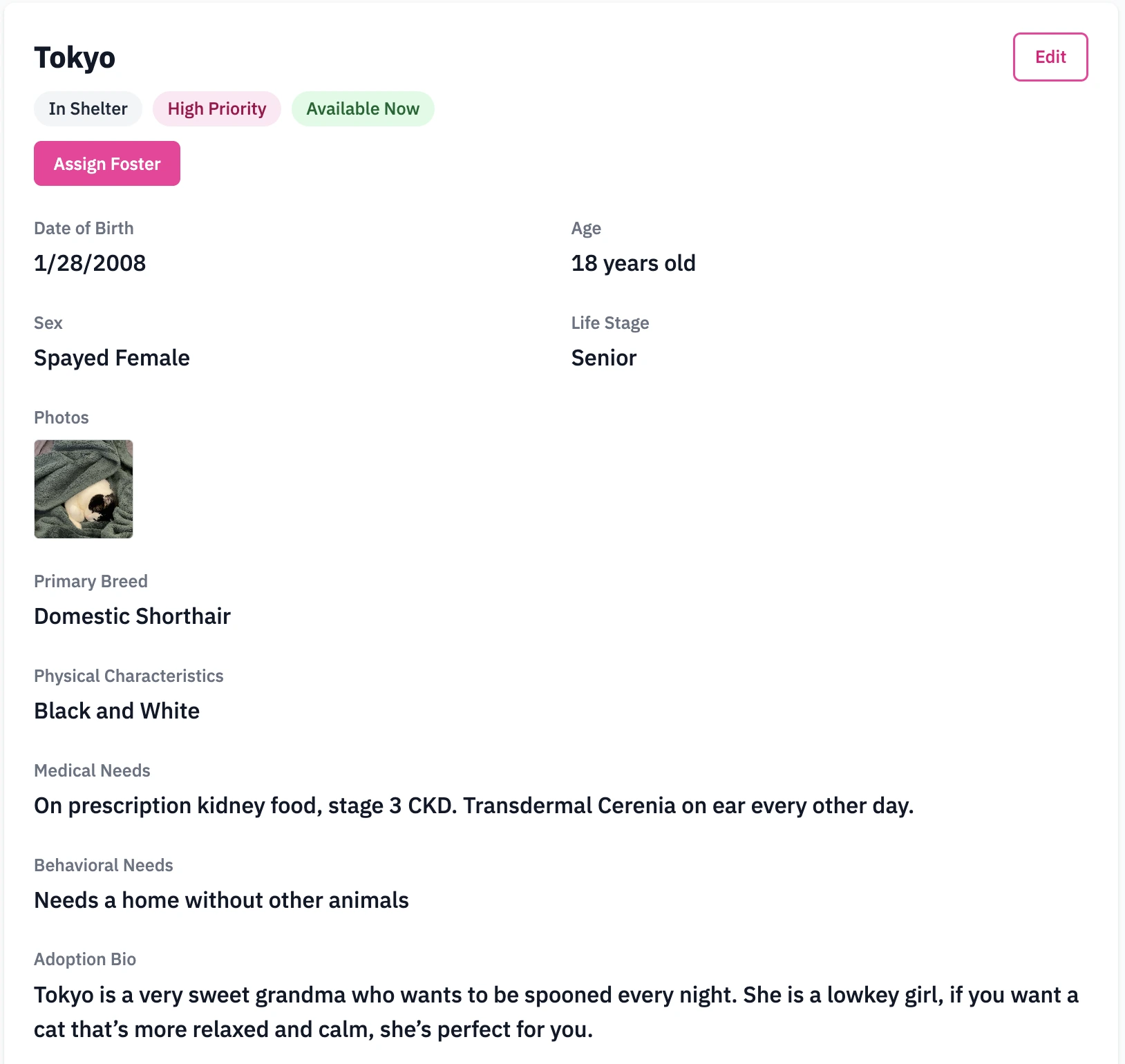 Fosty’s coordinator view of an animal profile with status, age, care needs, photos, and adoption information.