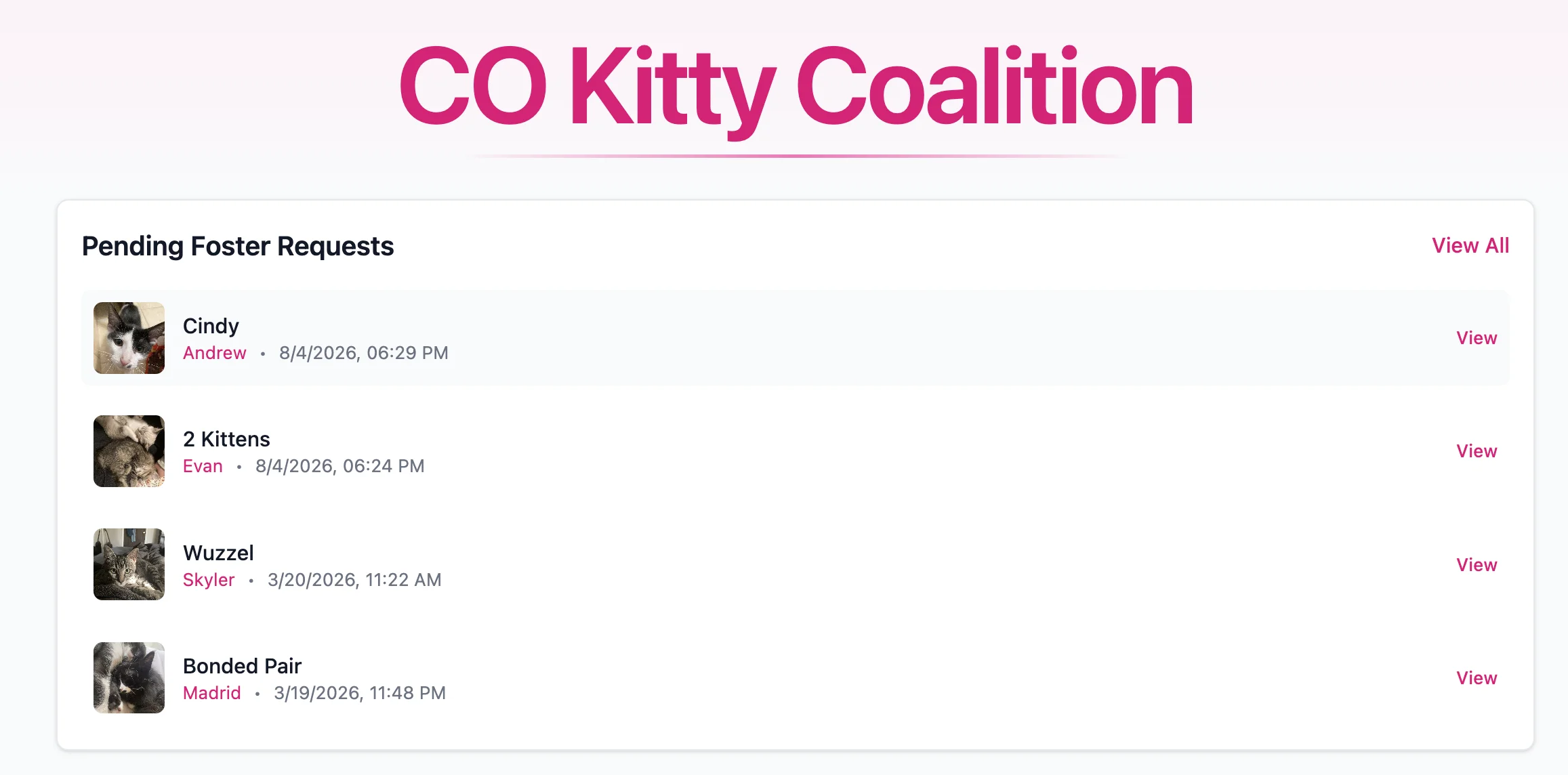 Fosty’s Pending Foster Requests page showing animals and groups awaiting assignment.