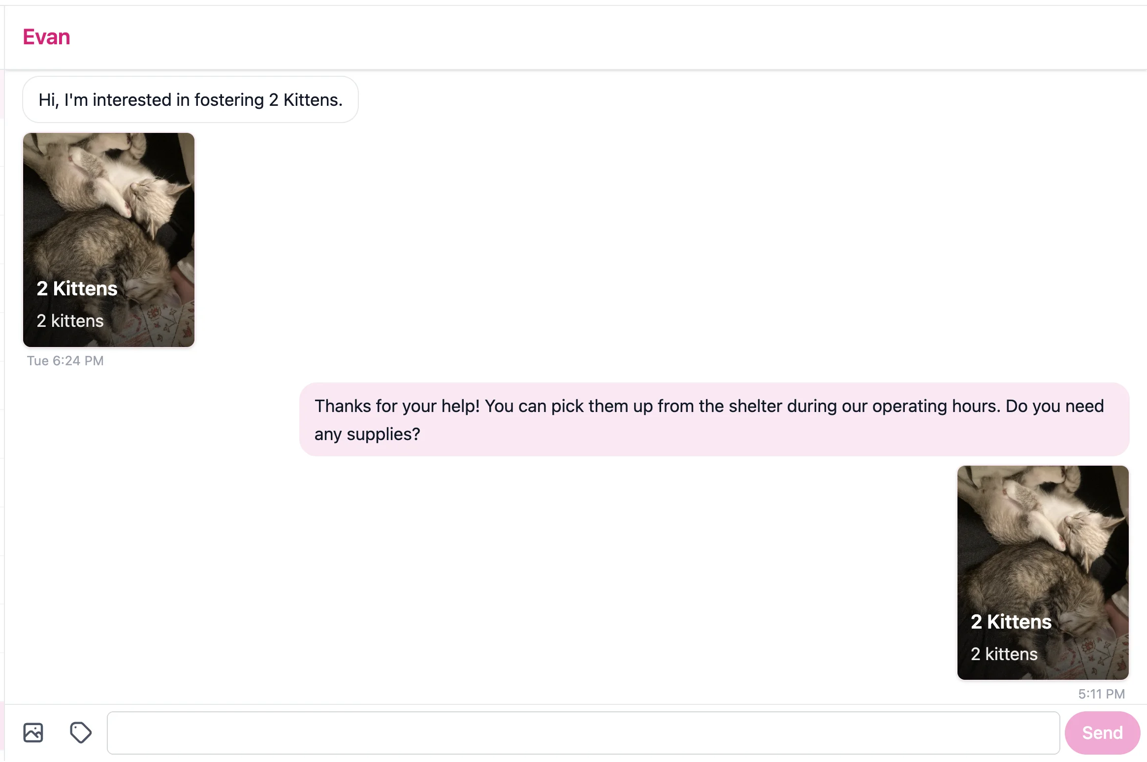 A Fosty group chat between a foster volunteer and rescue staff with shared animal cards and photos.