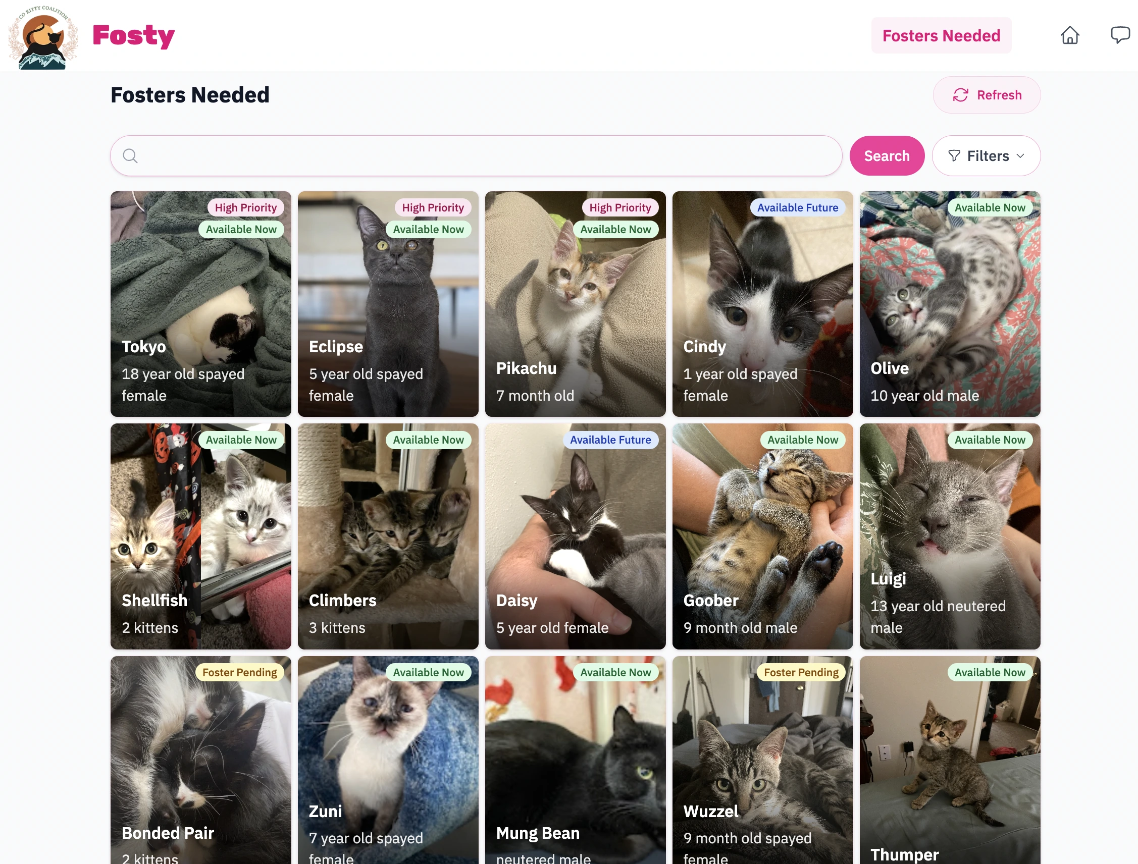 Fosty’s Fosters Needed page showing a searchable grid of cats waiting for foster homes.
