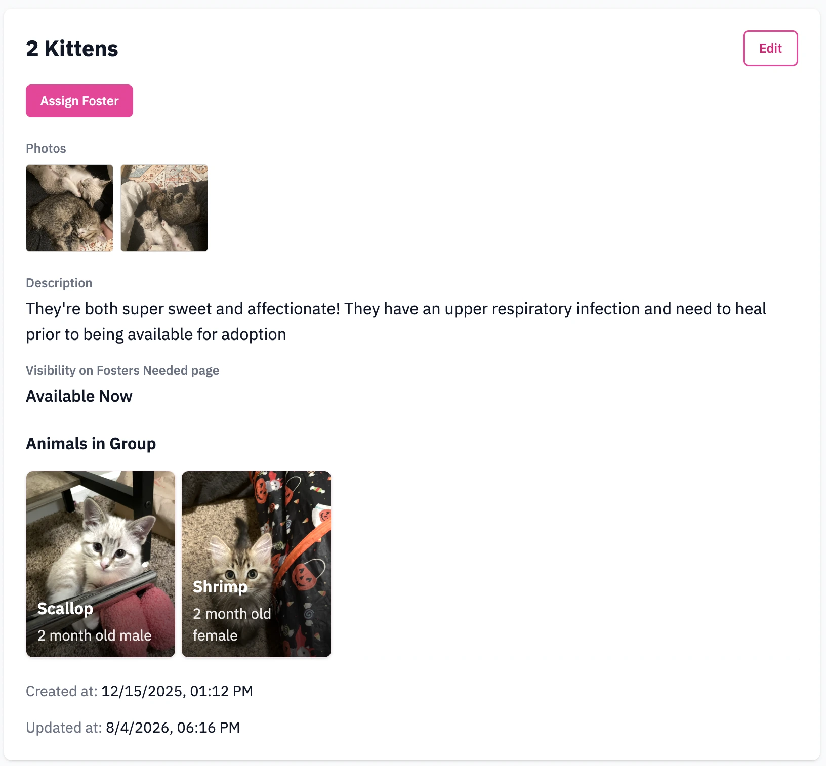 Fosty’s coordinator view of a two-kitten group with shared details and individual animal cards.