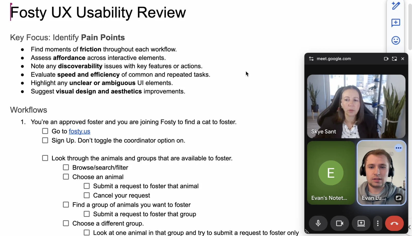 A Fosty usability review call showing a structured workflow checklist alongside participants in Google Meet.